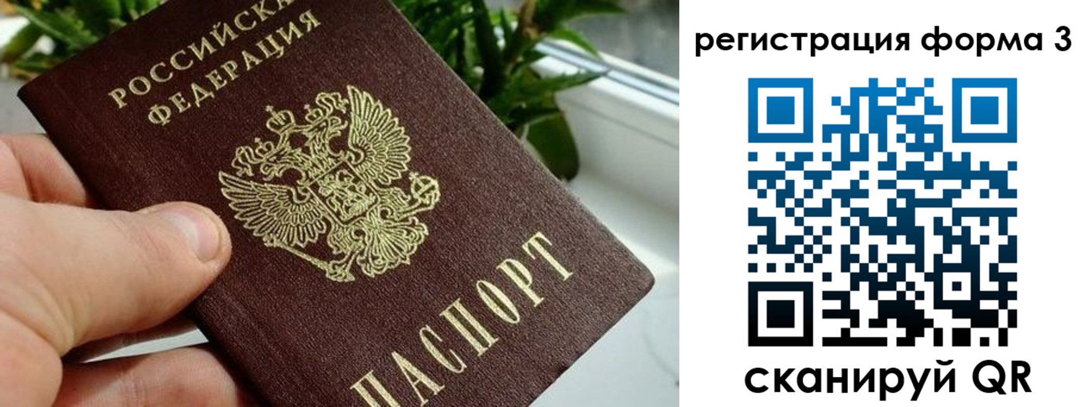 прописка штамп в Крымске